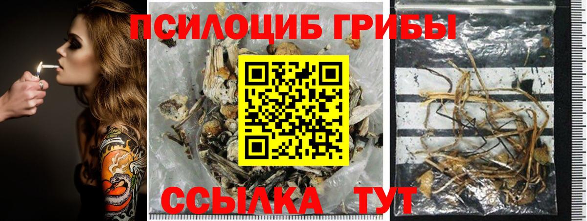 Галлюциногенные грибы мухоморы Коркино